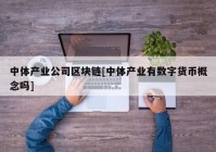 中体产业公司区块链[中体产业有数字货币概念吗]