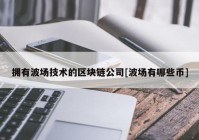 拥有波场技术的区块链公司[波场有哪些币]