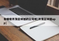 有哪些开发区块链的公司呢[开发区块链app]